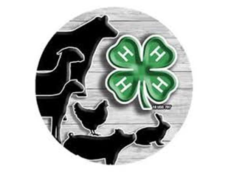 Fair Logo